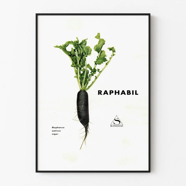 raphabil