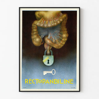 rectopanbiline-2
