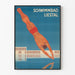 Poster vintage piscina Liestal subacqueo in azione