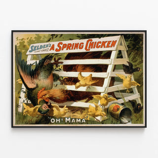 seldens-funny-farce-a-spring-chicken-2