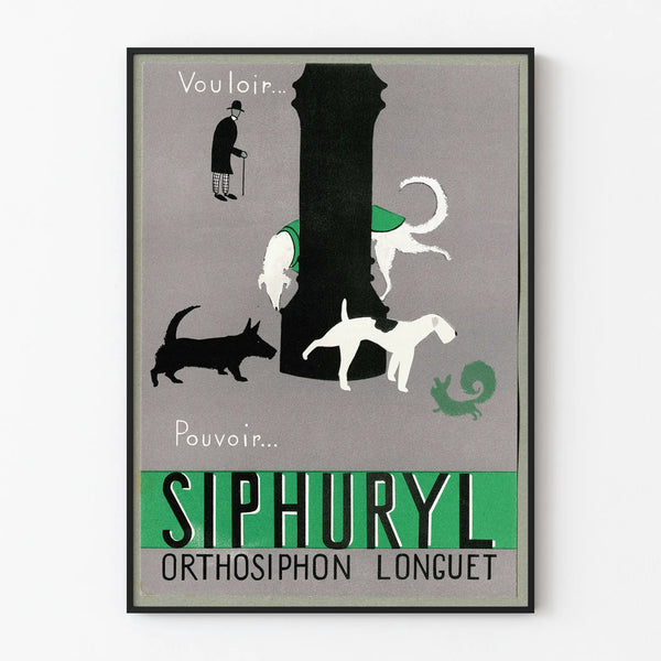 Poster vintage decorativo da parete Siphuryl Orthosiphon Longuet