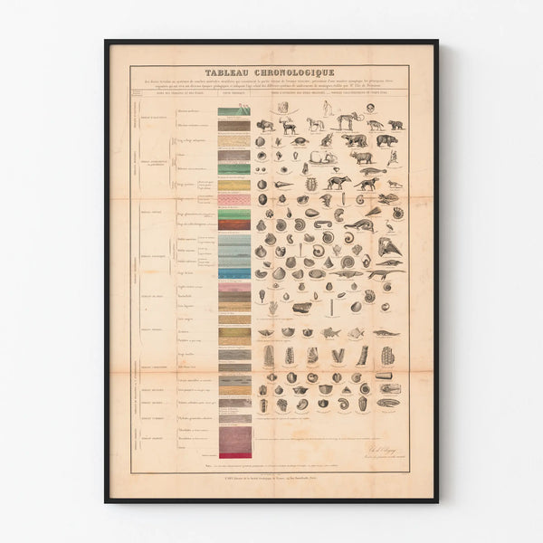 tableau-chronologique
