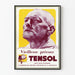 Poster pubblicitario vintage Tensol contro il invecchiamento precoce