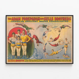 the-adam-forepaugh-and-sells-brothers-the-daring-and-captivating-bicketts