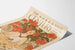 Poster vintage The Century Agosto Numero della Festa di Mezza Estate
