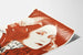 Poster Vintage Greta Garbo - La Dama Misteriosa