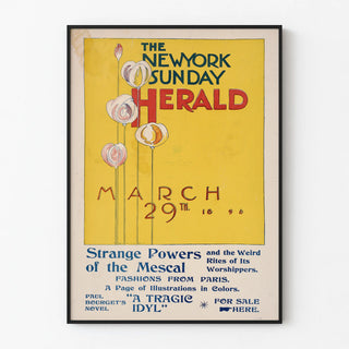 the-new-york-sunday-herald-march-29th-1896