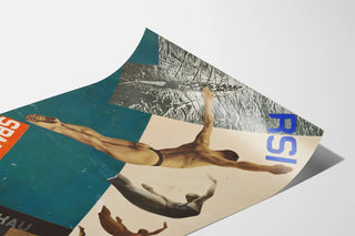 the-swallows-diving-design-for-postcard