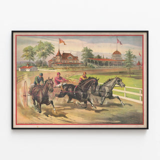 three-harness-racers