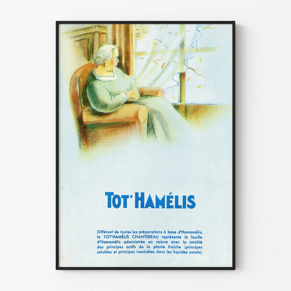 tothamelis-7