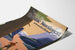 Poster vintage Viaggio nel Pacific Northwest in treno