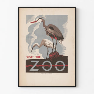 visit-the-zoo-2