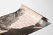 Poster elettorale vintage Gus Hall e Jarvis Tyner