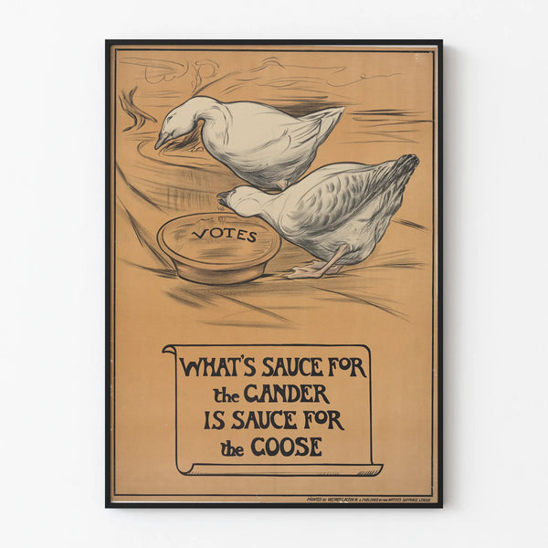 whats-sauce-for-the-gander-is-sauce-for-the-goose