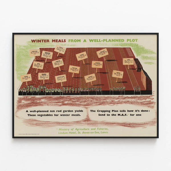 winter-meals-from-a-well-planned-plot