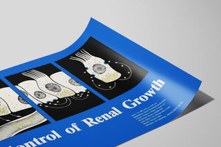 workshop-on-control-of-renal-growth