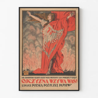 your-country-needs-you-buy-polish-state-bonds